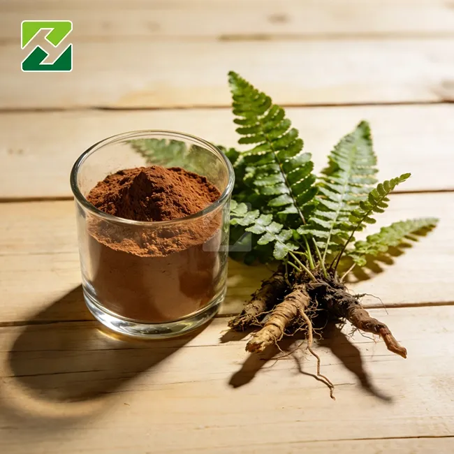 Polypodium Leucotomos Extract Powder